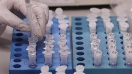 Коронавирус в Донецкой области набирает темпы?