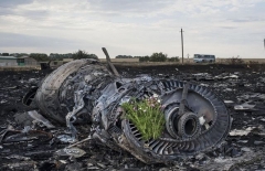 В «ДНР» готовы передать Нидерландам останки жертв МН17