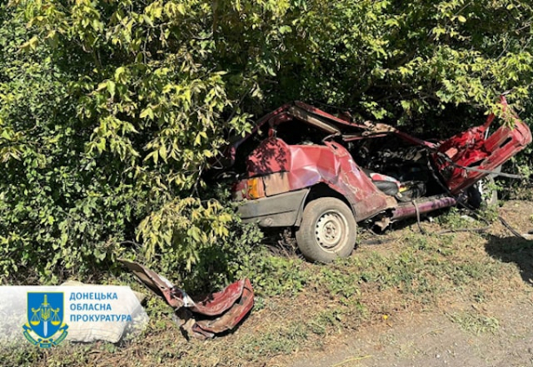 Водитель, совершивший смертельное ДТП, взят под стражу