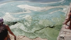 На «главном курорте ДНР» море превратилось в зеленую жижу (фотофакт)