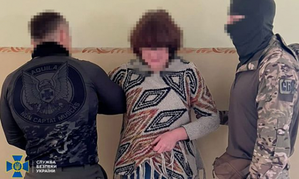 Жительнице Славянска грозит до 5 лет лишения свободы