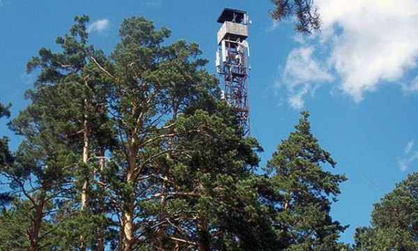 В лесах Донетчины установят новые видеокамеры