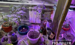 40-летний мужчина на балконе выращивал марихуану