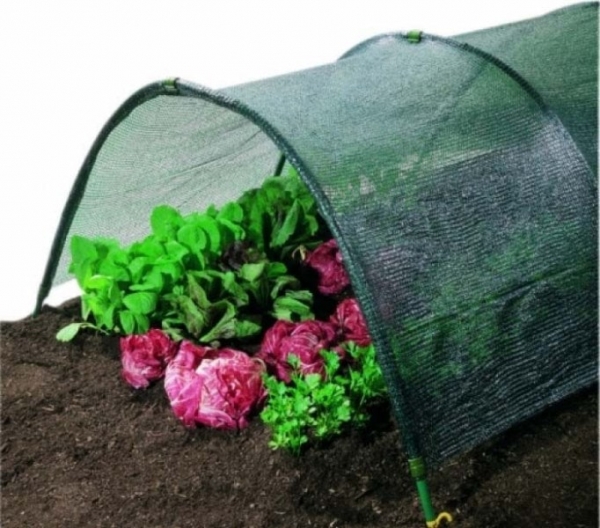 Защитные сетки от садовых вредителей