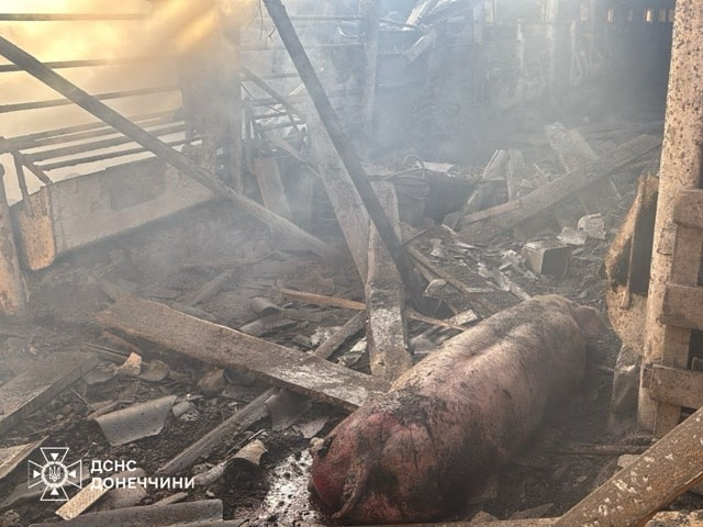 Россияне нанесли удар по ферме в селе Новый Кавказ (фото)