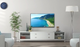 Телевизор LED или LCD: что лучше, в чем разница, какой выбрать