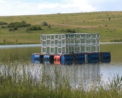 Сотрудники «МГБ ДНР» для собственных нужд «отжимают» водоемы (фото)
