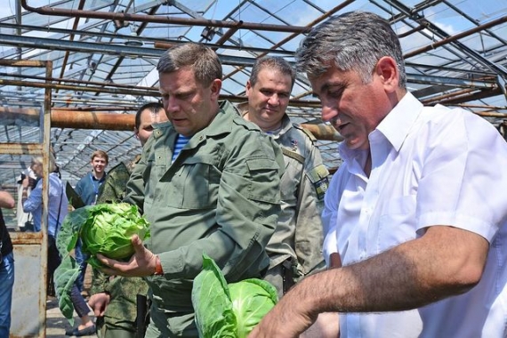 Захарченко решил продавать «республиканские» помидоры (видео)