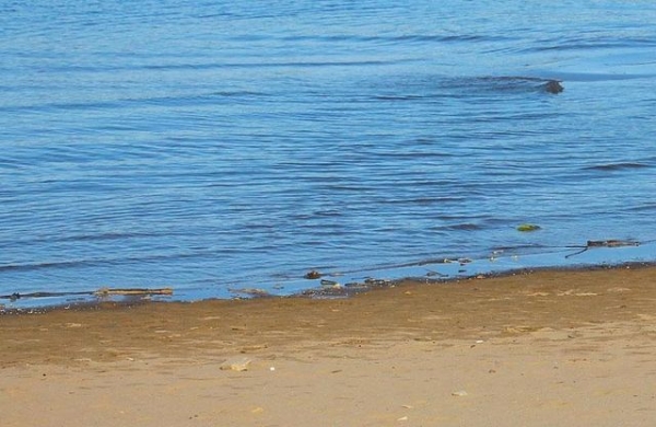 Пропавшего в Мариуполе мальчика нашли мертвым