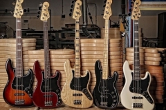 Бас-гитара: как выбрать, обзор, фото