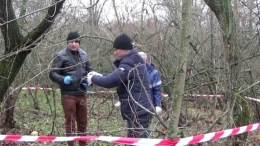 В лесополосе вблизи трассы Новоазовск – Донецк обнаружено тело