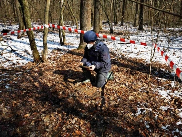 У с. Лесное пиротехники изъяли 70 взрывоопасных предметов времен Второй мировой войны
