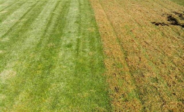 Обзор бензиновых садовых аэраторов AL-KO и MTD