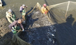 В водоемы области выпустили около 60-ти тыс. мальков