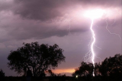 В «ДНР» во время мероприятия боевиков от удара молнии погибла женщина и ребенок