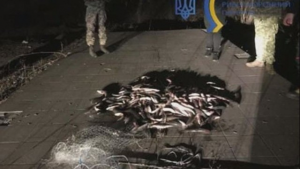 Браконьер причинил ущерб в сумме, превышающей 500 тыс. гривен