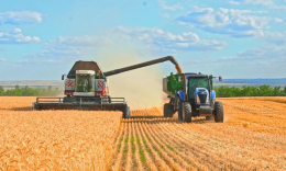 Урожай зерновых в этом году ожидается на треть меньше прошлогоднего