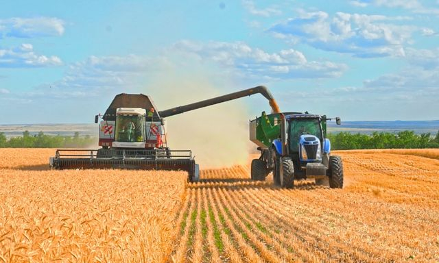 Урожай зерновых в этом году ожидается на треть меньше прошлогоднего