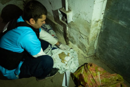 Трое украинских журналистов стали лауреатами Путлицеровской премии