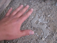 На территории Славянска регулярно находят емкости с ртутью