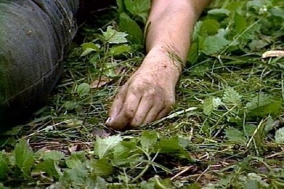 В «ДНР» на территории парка прохожие обнаружили тело несовершеннолетней