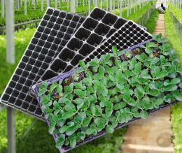 Навіщо потрібні касети для розсади