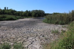 В оккупированной Горловке пересох ставок (фотофакт)