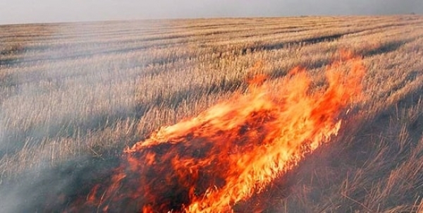 Под Мариуполем горели фермерские поля