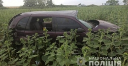 ДТП в Покровском районе - погибла женщина, среди пострадавших есть дети