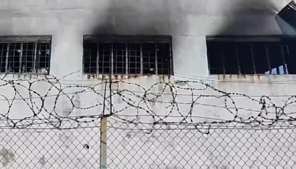 CNN провела расследование массовой гибели военнопленных в Еленовке (фото)