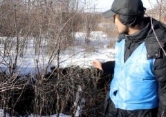 В поселке в «серой зоне» образовалась воронка из-за выработок шахт, расположенных в «ДНР» (видео)