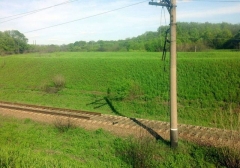 В ОРДО воруют даже рельсы (фото)