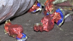 В супермаркетах Донецка торговали просроченными на несколько лет конфетами