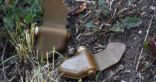 В Доброполье на мине подорвались двое мальчиков