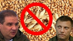 Осенью «ДНР» накроет хлебный кризис