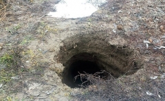 На территории частного дома в ОРДО на 15 метров провалилась земля