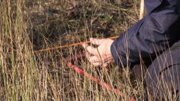 Оккупанты оставили в Лимане множество мин и растяжек