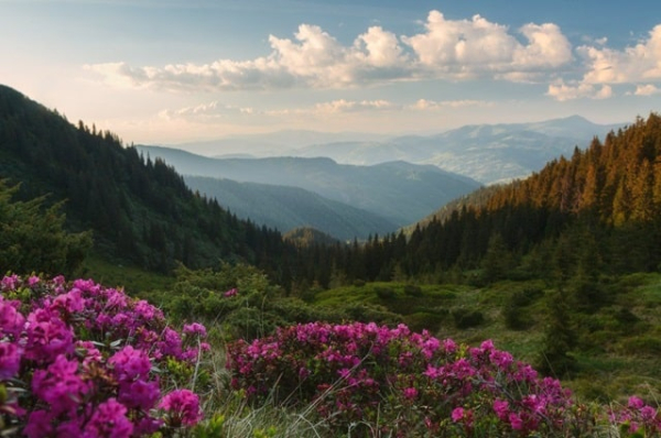 Тури з Тернополя в Карпати: активний відпочинок та оздоровлення
