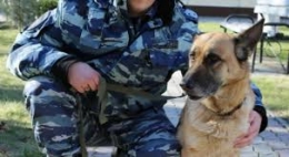 Служебная собака помогла задержать грабителя