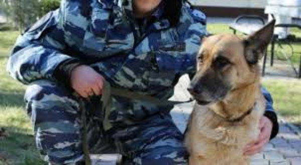 Служебная собака помогла задержать грабителя