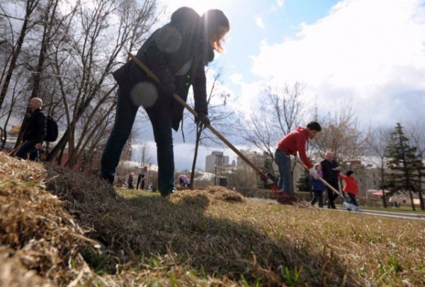 Жителей «ДНР» заставят бесплатно убирать улицы