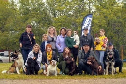 Всеукраинская выставка собак прошла в Краматорске