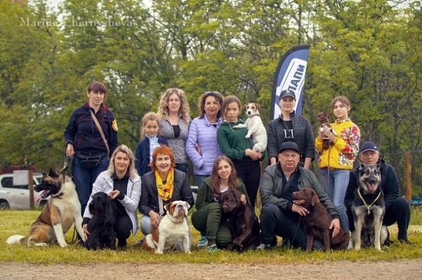 Всеукраинская выставка собак прошла в Краматорске