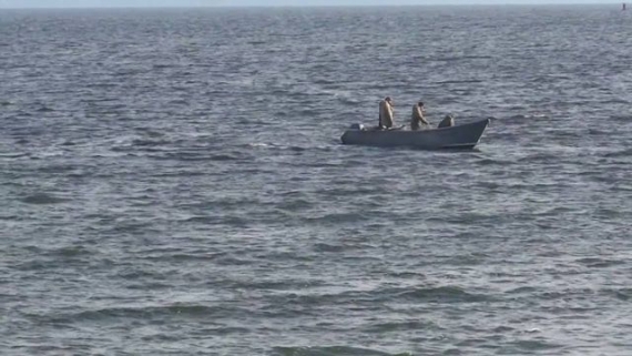 В акватории Азовского моря промышляют браконьеры