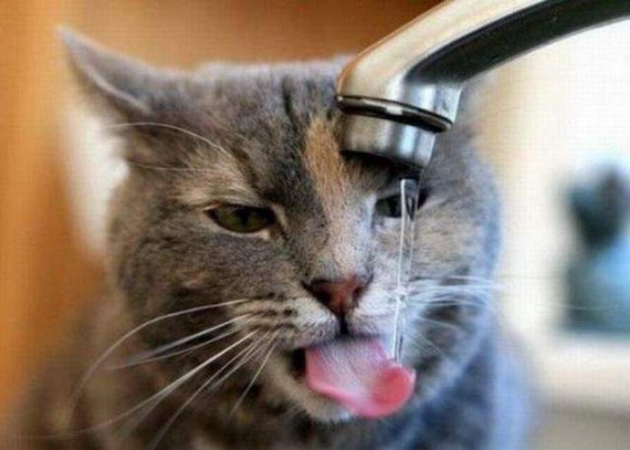 Власти «ДНР» отключают Харцызск от водоснабжения