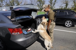 Служебная собака унюхала на линии разграничения наркотики