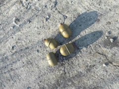 В Дружковке на крыше здания рабочие нашли гранаты