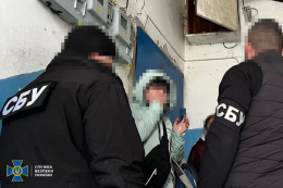 Разоблачена вражеская агентка, работавшая под видом горничной