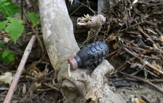 Вблизи прифронтового поселка Зайцево на растяжке подорвался человек