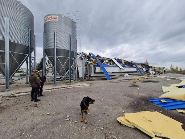 Владелец дважды разрушенной птицефабрики планирует восстановить производство